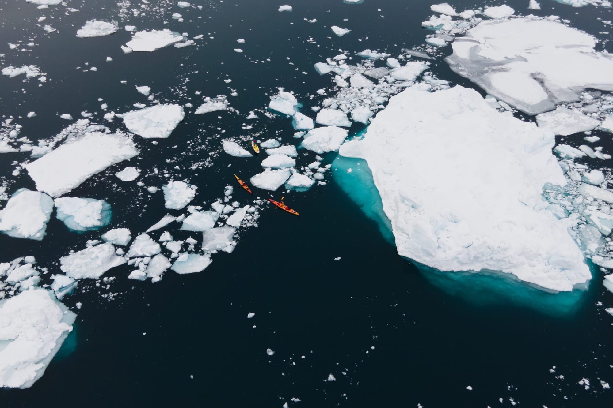 Due kayak visti dall'alto mentre pagagliano tra gli iceberg nelle acque di Ilulissat, Groenlandia.