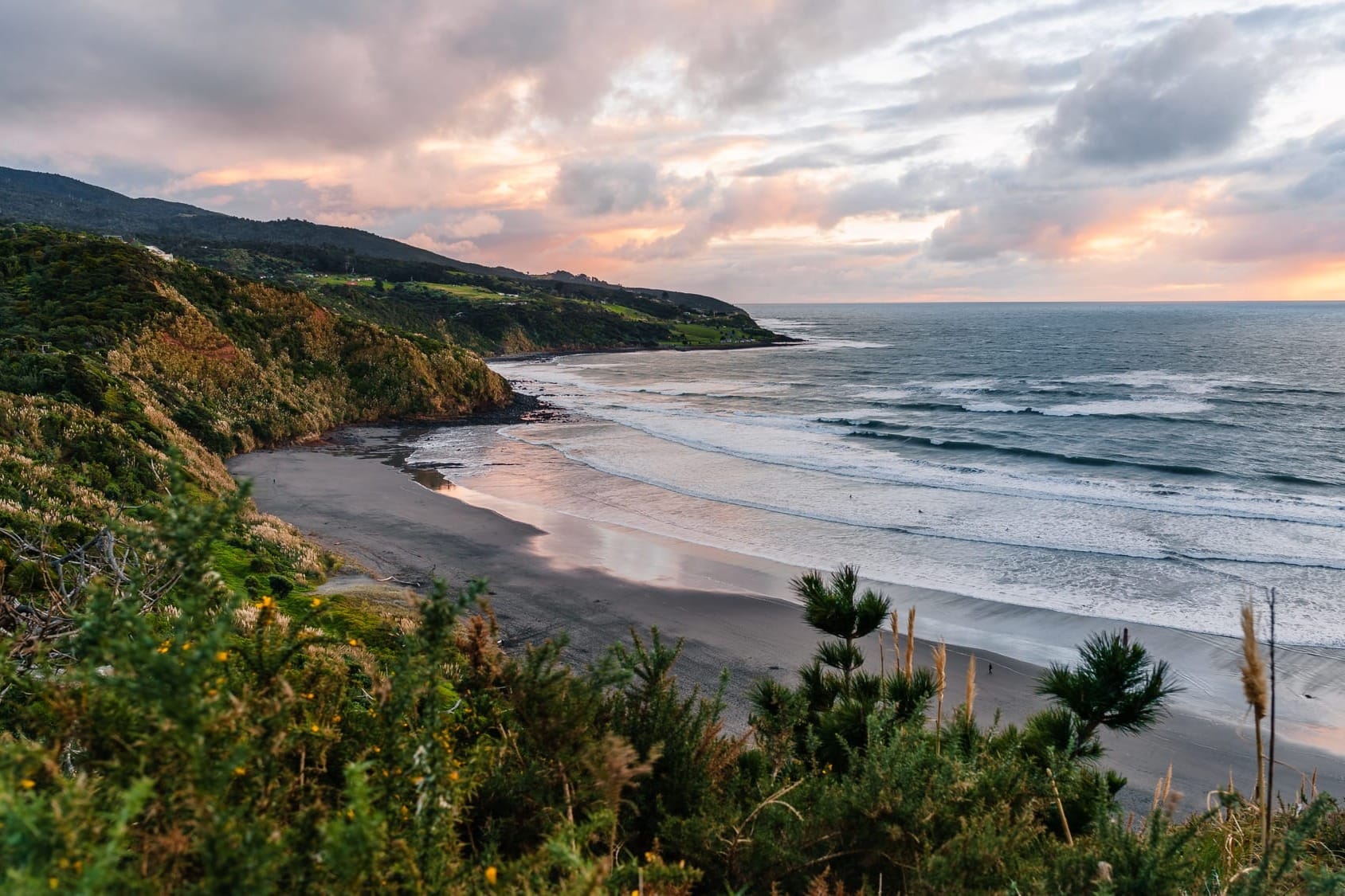 La costa selvaggia della Nuova Zelanda vicino a Raglan, un esempio del fascino delle zone costiere modellate dall'isolamento geografico e dalla vita endemica.