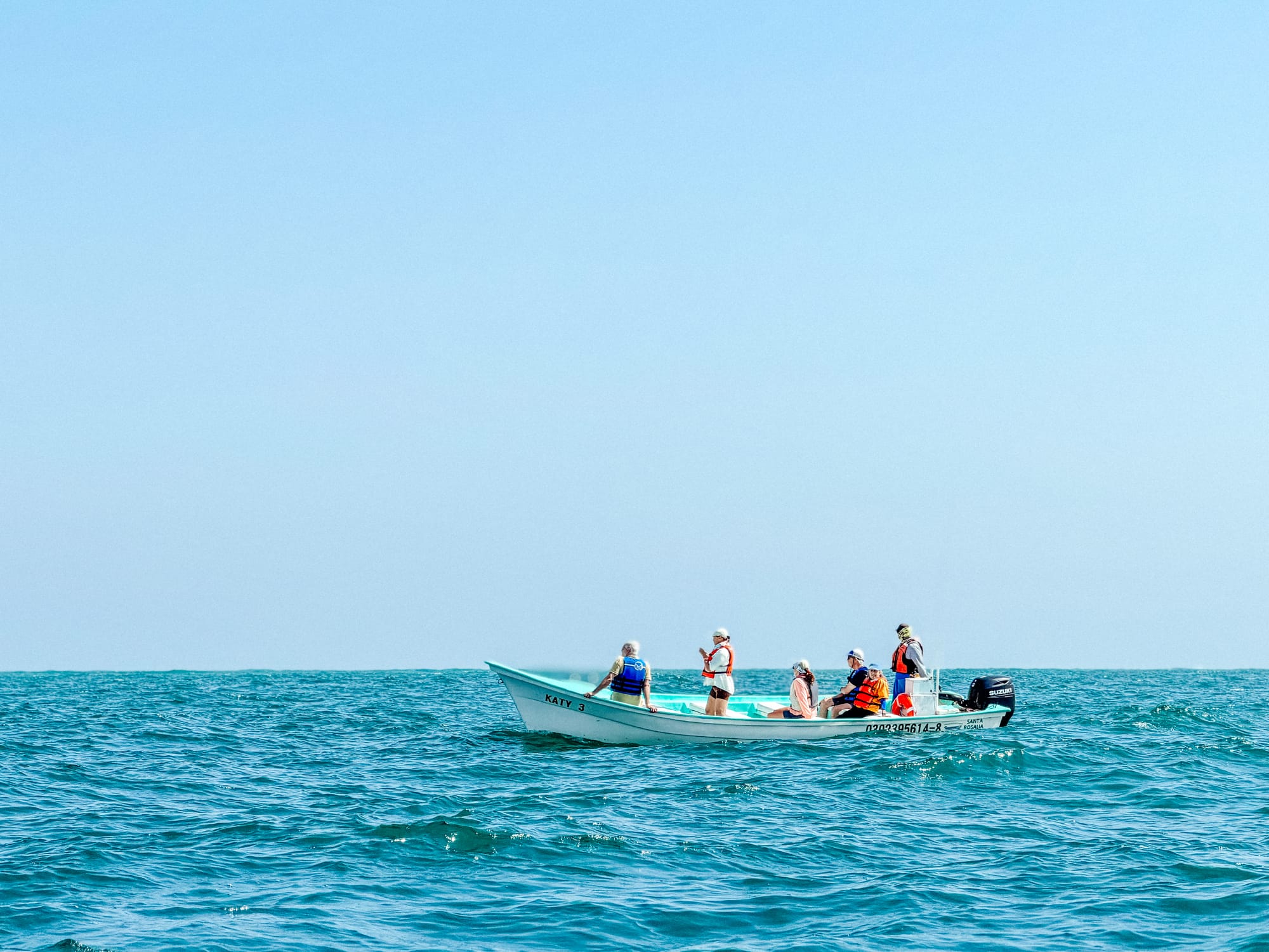 Piccola imbarcazione di turisti naviga placidamente verso l'area protetta per l'avvistamento etico delle balene grigie nella Laguna di San Ignacio.