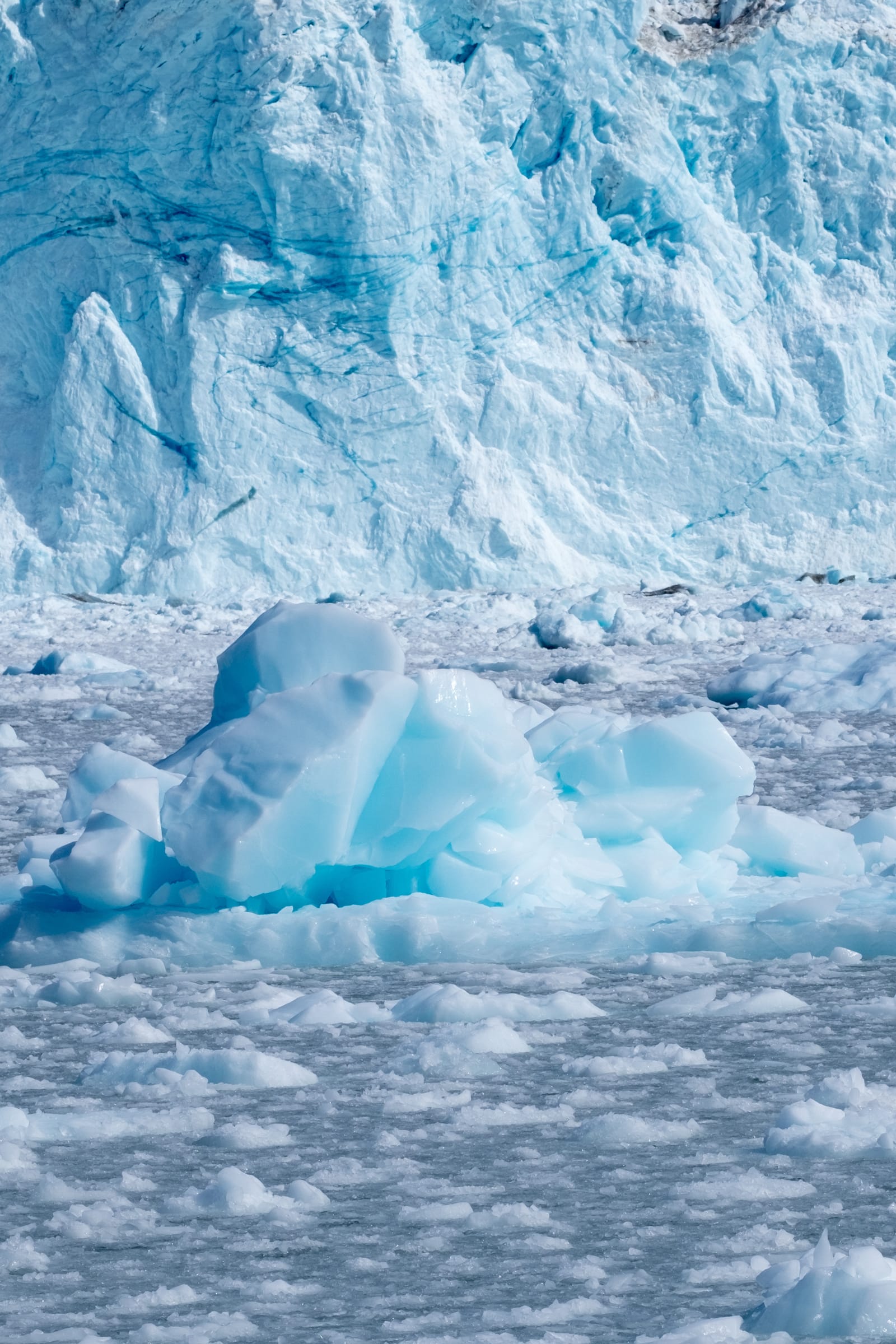 Kalaallisut, la lingua che scolpisce il ghiaccio: come il vocabolario Inuit modella una visione unica del mondo