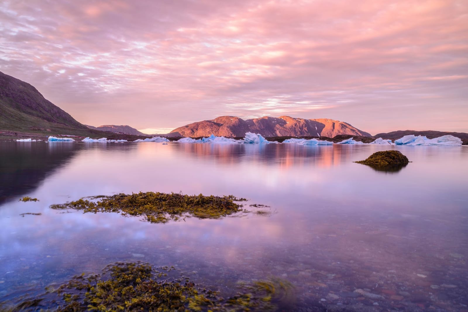 "Greenland is for seals, not for sale!". L'illusione del vuoto.